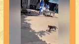 小默是不是想碰瓷？