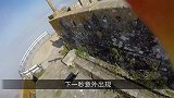 游客正拍摄延时风景，下一秒海鸥将手机叼走，无意间拍下珍贵画面