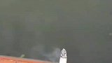 用鞭炮扔水里炸鱼，还真炸到了