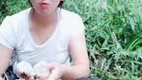 最近上山有很多很多能吃野果子，有没有想跟我一起上山找野果子的