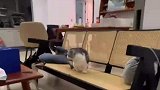 挑拨离间成功，狗狗和猫猫打起来了