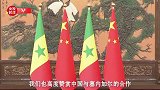 独家视频丨习近平会见塞内加尔总理：为中非友好和全球南方合作注入更多动力