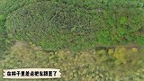 差点把车跟丢了越野侠 星巢计划 汽车 蚂蚁探路