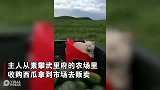 猫咪面露愤怒表情为主人看守西瓜主人：从没见它笑过
