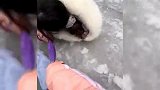 盘点出游的社死瞬间