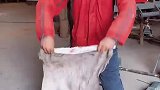 男子写对联送长辈，让年纪大的长辈省点钱
