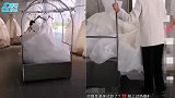 好事将近？网友晒照称明星新娘来试婚纱，疑似沈梦辰婚纱曝光？