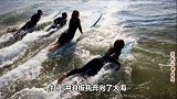 天热烦恼多《高温消暑歌》