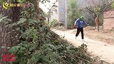 洋洋用绿头怪面具吓唬圆圆，没想却被圆圆吓了一大跳，太搞笑了