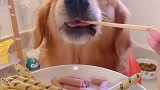 这个火腿肠也太香了吧！