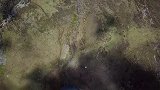 你有你的盖聂之眼,我呢