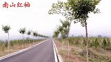 长得像脸谱的蓖麻子，它的价值很独特，你还不知道吧？