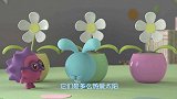 瑞奇宝宝：这里有个落单的小花，没有阳光它动不了，小花都蔫了