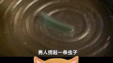外星大怪虫侵袭人类，可怕！