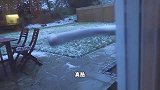 一早醒来，Emilia再次看到下雪，宝宝的反应好可爱