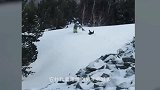 男子滑雪时，发现前面雪堆下，居然藏着一只珍贵的雪豹！