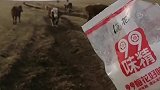 慢慢的就学会吃了、挺好吃
