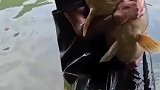 这么大的一条鱼，今天真是碰到好心人了