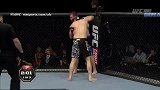 UFC-14年-UFC Fight Night 41：马格梅多夫vs佩斯塔集锦-精华