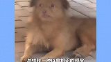 你就说长相奇不奇怪