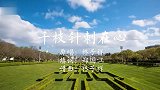 林子祥的经典老歌《千枝针刺在心》，悠扬旋律配上独特嗓音，爱了