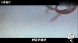 假如西天取经去的是这4位：唐僧直接大威天龙，猪八戒吊打二郎神