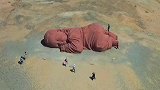 沉睡在大西北荒漠中的巨婴