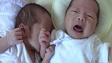 我不是妈妈，不要再来嘬我的胳膊了