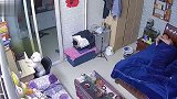 太听话了！熬夜看动画片的狗子，像不像喜欢追剧的你
