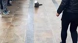 猫咪被罐子卡头，热心群众展开救助