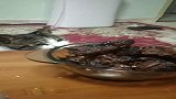 不知道猫肉好不好吃，哈哈
