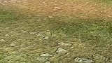 熊出没之夺宝熊兵：用大锅漂流，熊大熊二好嗨，光头强吓坏