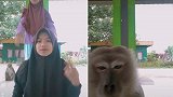 印尼：姐妹俩拍视频遇猴子被吓跑，意外拍下猴子偷手机全程
