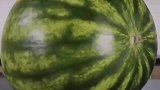 日本的西瓜为什么一个要几百块