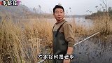 芦苇荡中鲤鱼群聚集沸腾，老李一鱼叉下去搞到鲤鱼王，叉都顶断了