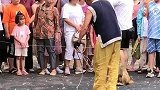 猴子跟奶奶握手感谢。