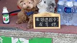 超市门口看到两只小可爱