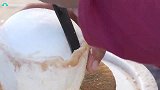 印度大爷挑战100个椰子榨油，一顿操作猛如虎，结局太佩服