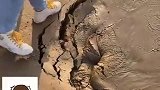 怎么土地差距那么大一边是干的一边是沼泽，大自然就是这么神奇