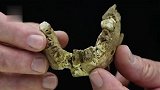 来自十多万年前！以色列发现新型远古人类化石