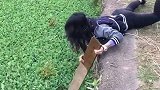 鸡：你再不救我上来就淹死了！