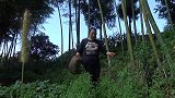 幺妈和幺叔：长长的丝瓜、圆圆的丸子，在白白的瓷碗里不期而遇了