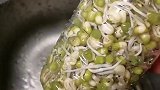 矿泉水瓶生豆芽