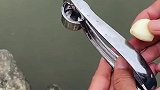 给河里面的小鱼尝尝蒜泥的味道