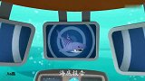海底小纵队之海底报告：游泳非常快，同类也敢吃的虎鲨