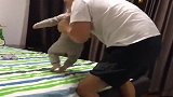 爸爸亲身示范教宝宝下床技能，眼前这一幕，真是笑翻了