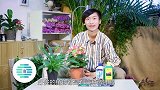 如何给植物上肥【光合未来】第10集