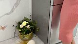 硅胶保鲜盖，放冰箱再不怕串味