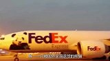 唯一一只被国外含泪“退货”的熊猫