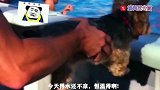也不是节奏没把握好，而是兄弟你这撞得也太准了吧
